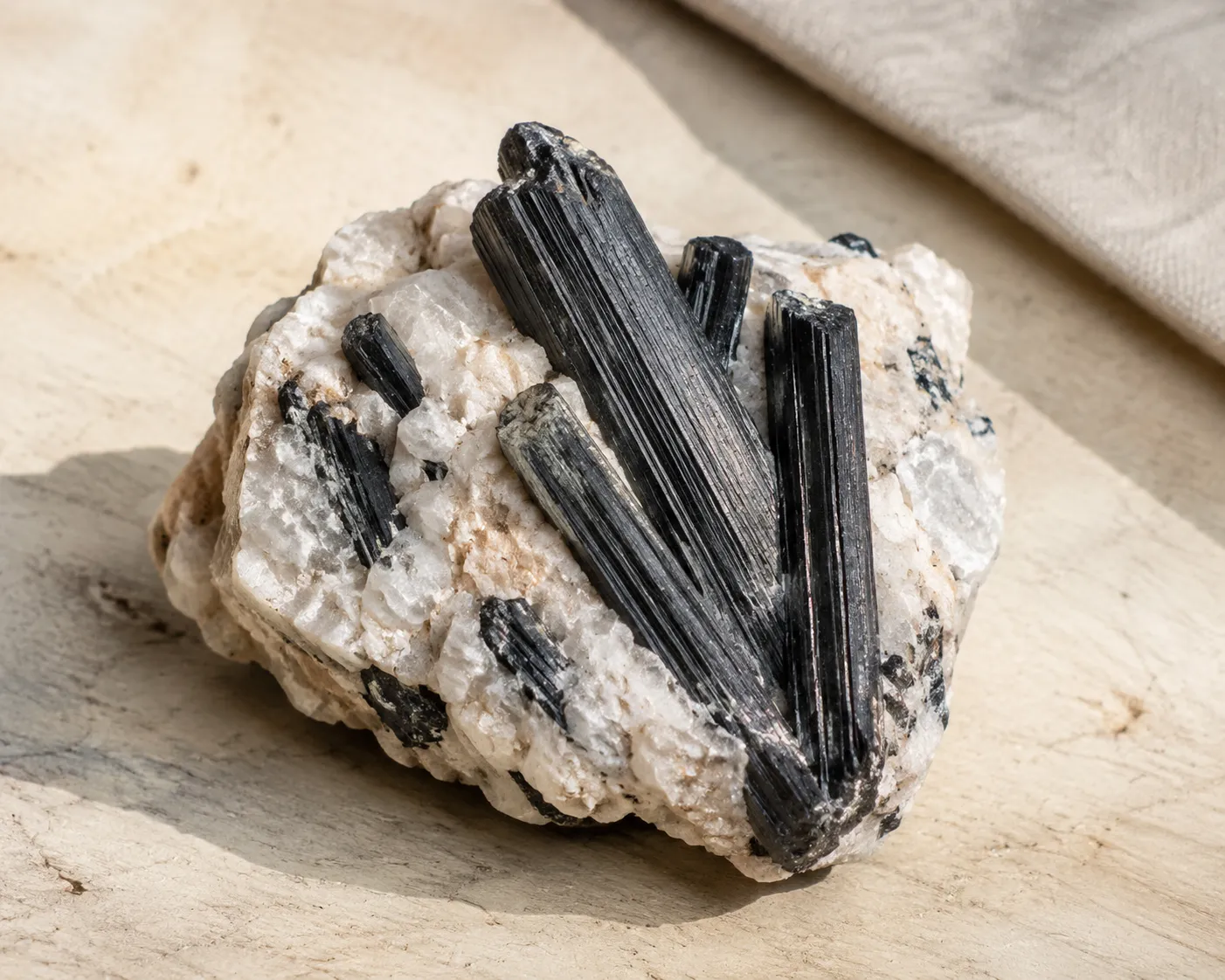 Raw black schorl crystals on a pale mineral matrix showing prismatic form and lengthwise striations